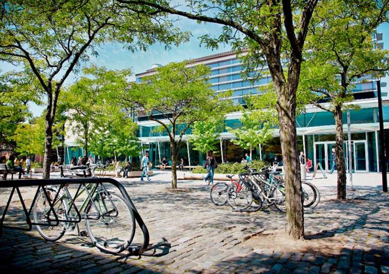 Университет York University Университет York University